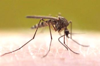 Как можете бързо да се отървете от комарите в апартамента?