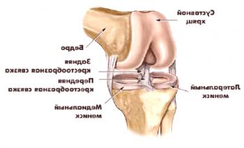 Simptomi bolezni kolena in njihovo zdravljenje