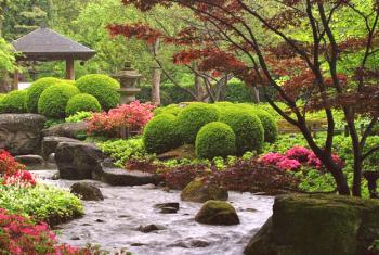Jardín en el estilo japonés.