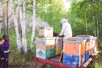 Zadrževanje čebel z dvojno čebeljo v panju v panju