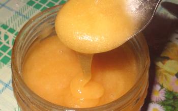 Miel de girasol: propiedades útiles y posibles contraindicaciones.