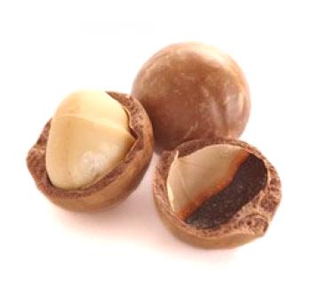 Macadamia Walnut: koristne lastnosti, kontraindikacije, koristi in škoda, kjer raste, fotografije