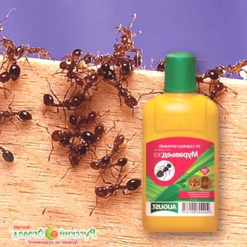 Učinkovita sredstva za mravlje na vrtu