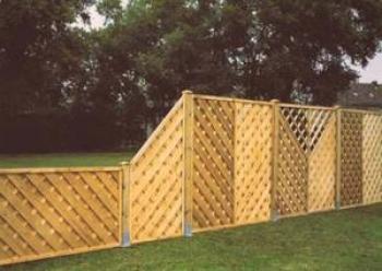 Ograje za hiše: kakšni materiali se lahko izdelajo za ograjo, njihove prednosti in slabosti