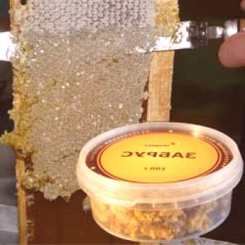 Bee Box: Kaj je to in kaj je koristno, uporaba
