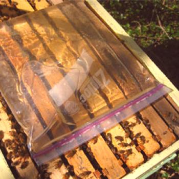 Hranilniki za čebele: vrste in zahteve, ki si sami ustvarjajo roke