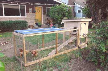 Kako narediti ograjen prostor za piščance z lastnimi rokami: navodila po korakih in fotografije