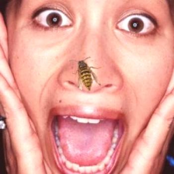 Miedo a las abejas (apiofobia), alergia a la picadura de abeja