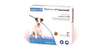 Frontline Nexgard pastillas para los ácaros del perro: opiniones e instrucciones