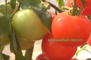 Cuándo y cómo plantar tomates en plántulas para el calendario lunar 2019