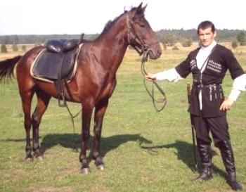 Raza kabardiana de caballos: foto, historia y descripción.