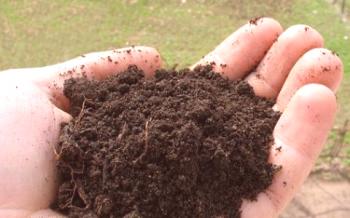 Подготовка на почвата за тревата със собствените си ръце