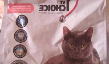 Hrana za mačke 1. izbira (Ferst Choice) - ocene in nasveti veterinarjev