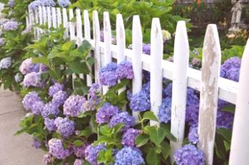 Okrasne vrtne ograje za postelje in postelje.