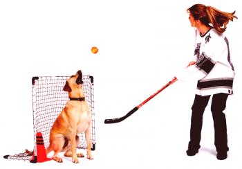 El perro es un portero de hockey.