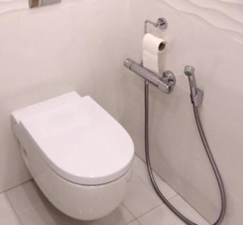 Elija una ducha sanitaria para un inodoro: revisión, tipos, dispositivo de inodoro