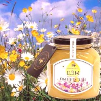 Flor de miel: propiedades útiles y terapéuticas, contraindicaciones.