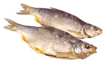 Слабата клюка е рецепта от астраханските рибари