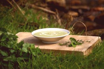 Супа от коприва: прости рецепти с поетапни снимки