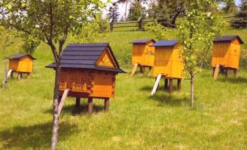 Apicultura: métodos de apicultura.