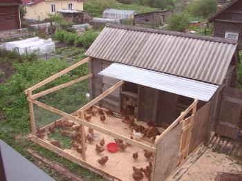 Kako zgraditi skladišče za piščance z lastnimi rokami: mojstrski tečaji korak za korakom