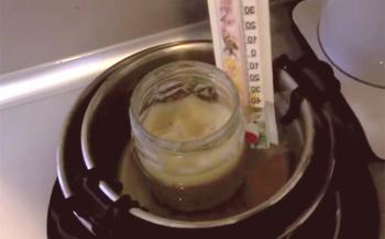 Cómo derretir la miel: en un frasco en un baño de agua, en un horno de microondas y otros.