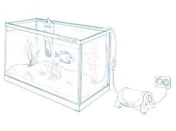 Kako pravilno nastaviti filter v akvariju?