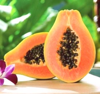 Papaya: uporabne lastnosti, fotografije rastline, ko raste