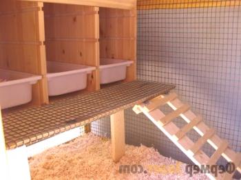 Sedi in gnezdi za piščance: kako narediti lastno udobje za nosilce