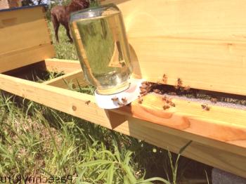 Podajalnik iz pločevink za čebele: sorte hranilnikov