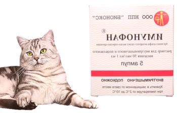 Imunofan za mačke: navodila za uporabo, pregledi