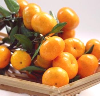 Cómo se almacenan las mandarinas, a qué temperatura y cómo mantener las mandarinas en casa
