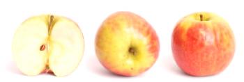 Listado de variedades de manzanas.