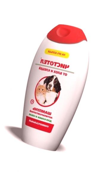 Kako izbrati šampon za pse iz bolh in klopov?