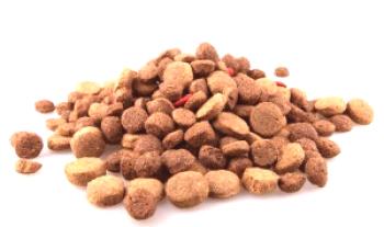 Ocena suhe krme za pse, sestavo in uporabne lastnosti različnih blagovnih znamk.