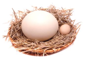 ¿Cuánto cuesta un huevo de avestruz en Rusia?Donde comprar