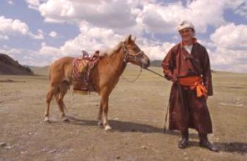 Mongolska pasma konjev: fotografija in opis