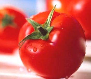 Las mejores variedades de tomates para invernaderos de policarbonato: elegimos los adecuados.