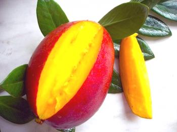 Olje za mango: Mnenja, aplikacije, recepti, maske