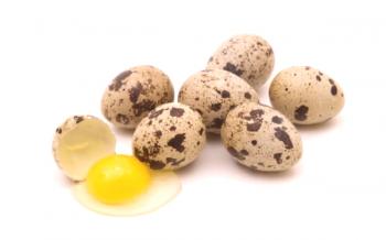 Jajca prepelic: koristne lastnosti za moške in ženske