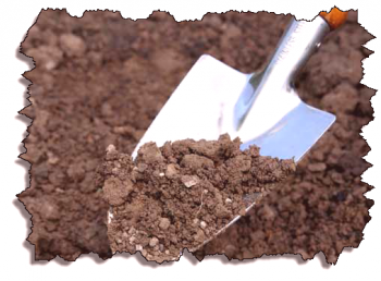 Kako določiti kislost tal