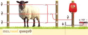 Electrospray para ovejas: cómo elegir la electrificación correcta