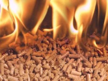 Pellets de combustible: producción de briquetas y pellets de madera.