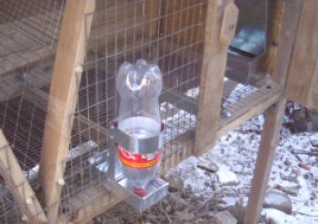 Bebederos para conejos con sus propias manos - instrucción (foto y video)