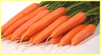 Ordenar zanahorias con fotos y descripción.
