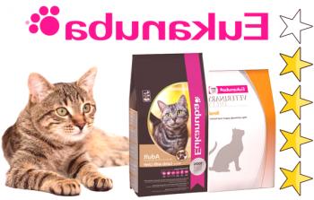 Krma za mačke Eukanuba (Eukanuba): vrsta, sestava, pregledi